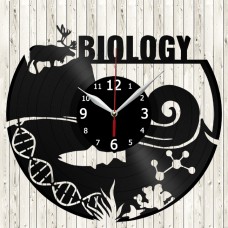 Vinyl Record Biology Clock 